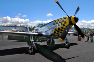 https://www.freedomfair.com/wp-content/uploads/2017/03/P-5120Mustang.jpg